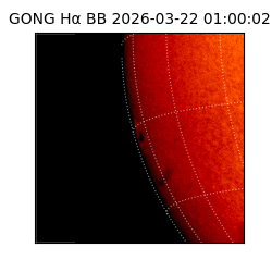 gong - 2026-03-22T01:00:02