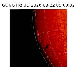 gong - 2026-03-22T09:00:02