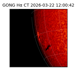 gong - 2026-03-22T12:00:42