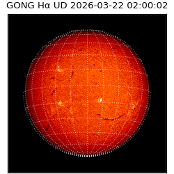 gong - 2026-03-22T02:00:02