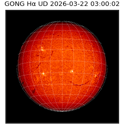 gong - 2026-03-22T03:00:02