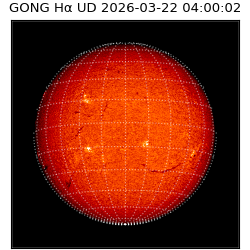 gong - 2026-03-22T04:00:02