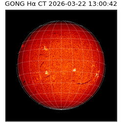 gong - 2026-03-22T13:00:42
