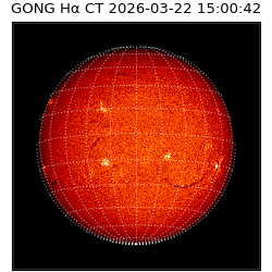 gong - 2026-03-22T15:00:42