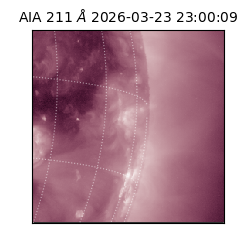 saia - 2026-03-23T23:00:09.632000