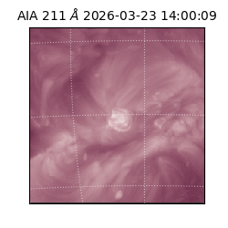 saia - 2026-03-23T14:00:09.624000