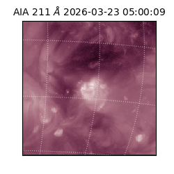 saia - 2026-03-23T05:00:09.632000