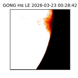 gong - 2026-03-23T00:28:42
