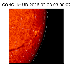 gong - 2026-03-23T03:00:02