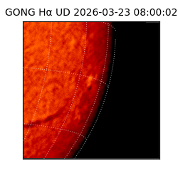 gong - 2026-03-23T08:00:02