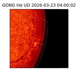 gong - 2026-03-23T04:00:02
