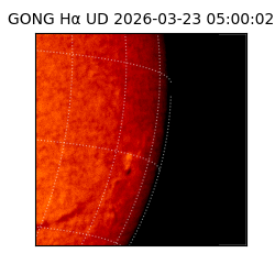 gong - 2026-03-23T05:00:02