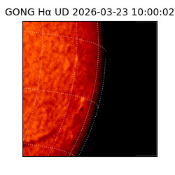 gong - 2026-03-23T10:00:02