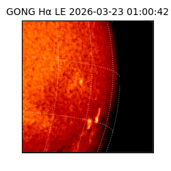 gong - 2026-03-23T01:00:42
