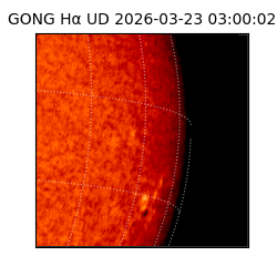 gong - 2026-03-23T03:00:02