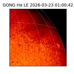 gong - 2026-03-23T01:00:42