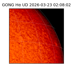 gong - 2026-03-23T02:08:02
