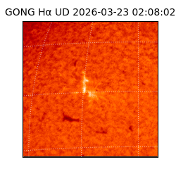 gong - 2026-03-23T02:08:02