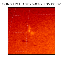 gong - 2026-03-23T05:00:02