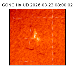 gong - 2026-03-23T08:00:02