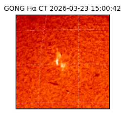 gong - 2026-03-23T15:00:42