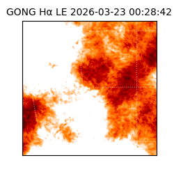 gong - 2026-03-23T00:28:42
