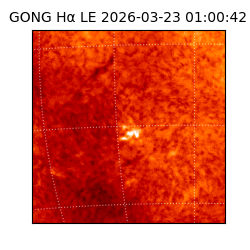 gong - 2026-03-23T01:00:42