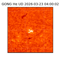 gong - 2026-03-23T04:00:02