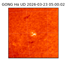 gong - 2026-03-23T05:00:02