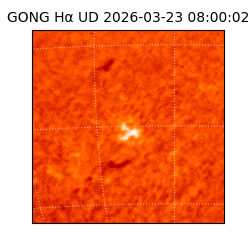 gong - 2026-03-23T08:00:02