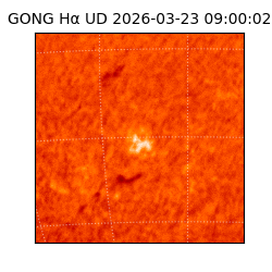 gong - 2026-03-23T09:00:02