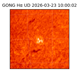 gong - 2026-03-23T10:00:02