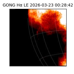 gong - 2026-03-23T00:28:42