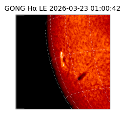 gong - 2026-03-23T01:00:42