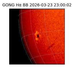 gong - 2026-03-23T23:00:02