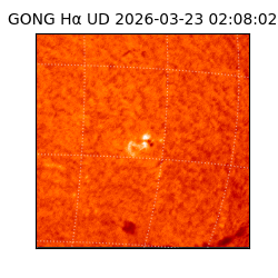 gong - 2026-03-23T02:08:02