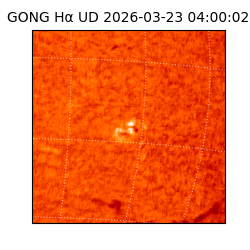 gong - 2026-03-23T04:00:02