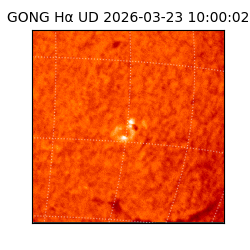 gong - 2026-03-23T10:00:02