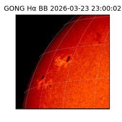 gong - 2026-03-23T23:00:02