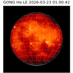 gong - 2026-03-23T01:00:42