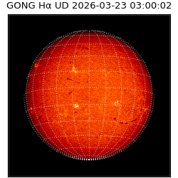 gong - 2026-03-23T03:00:02