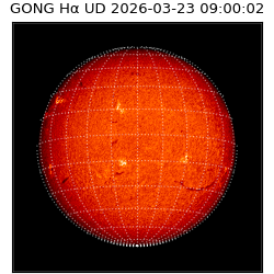 gong - 2026-03-23T09:00:02