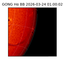 gong - 2026-03-24T01:00:02