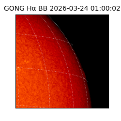 gong - 2026-03-24T01:00:02