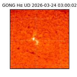 gong - 2026-03-24T03:00:02