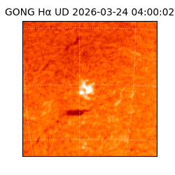 gong - 2026-03-24T04:00:02