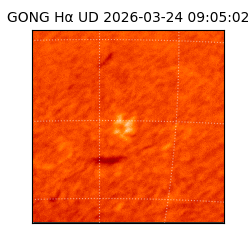 gong - 2026-03-24T09:05:02