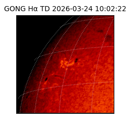 gong - 2026-03-24T10:02:22