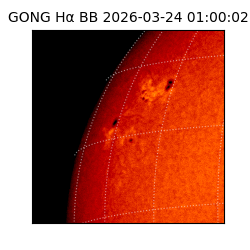 gong - 2026-03-24T01:00:02