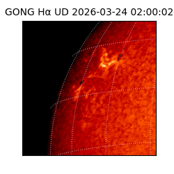 gong - 2026-03-24T02:00:02